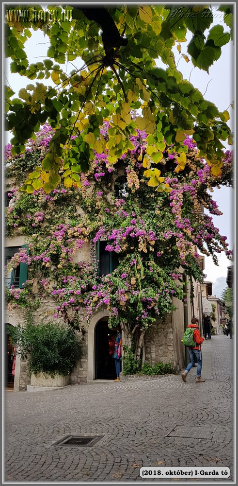 2018.oktober-I-Garda-to-026.jpg