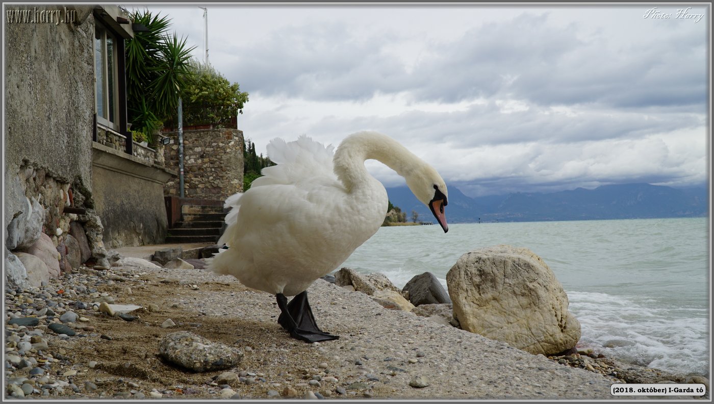 2018.oktober-I-Garda-to-141.jpg