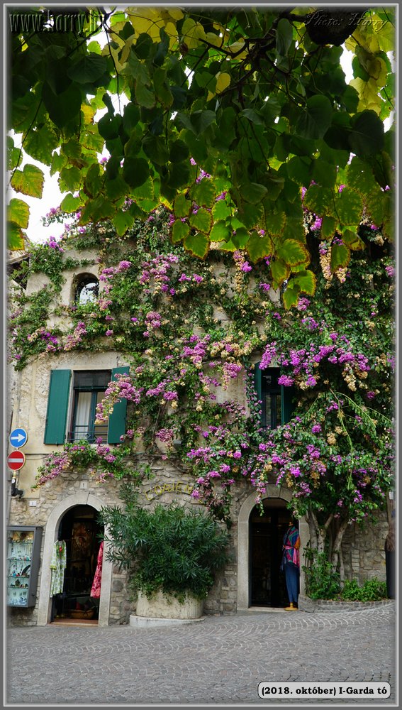 2018.oktober-I-Garda-to-162.jpg