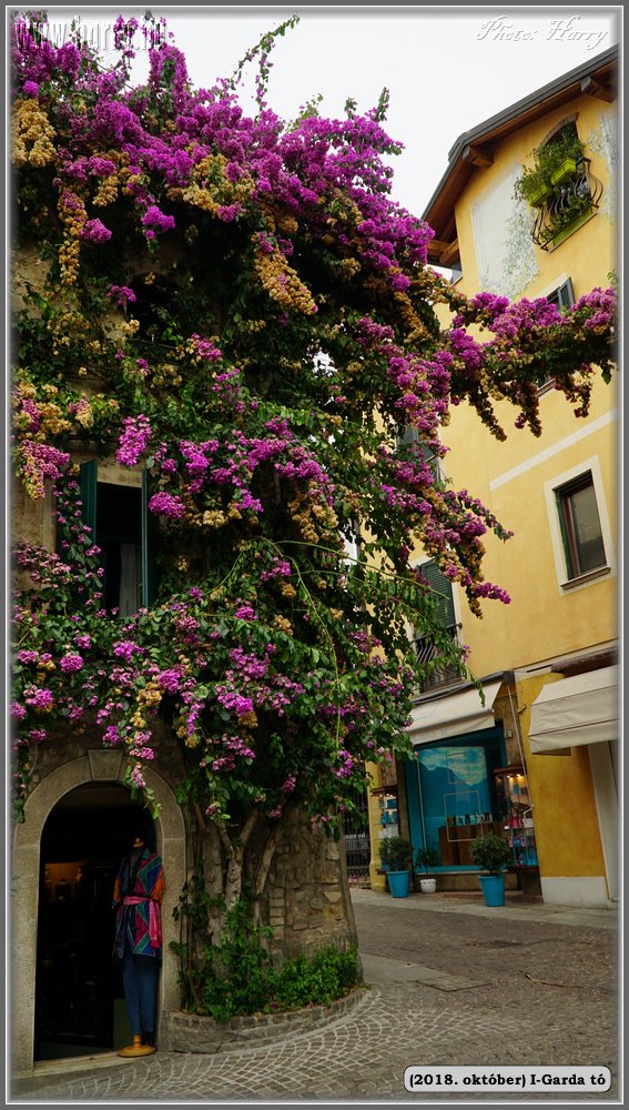 2018.oktober-I-Garda-to-164.jpg