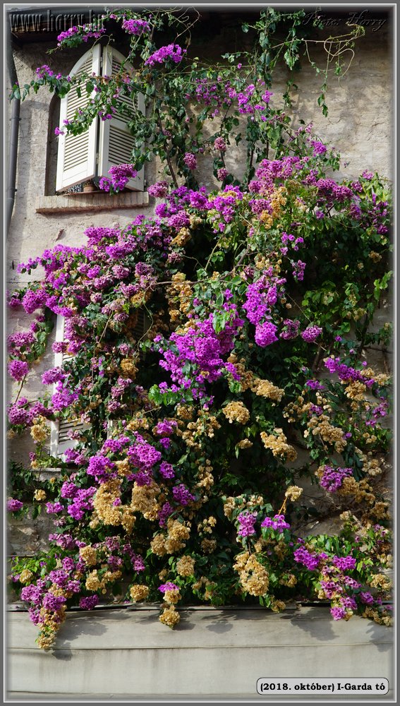 2018.oktober-I-Garda-to-171.jpg