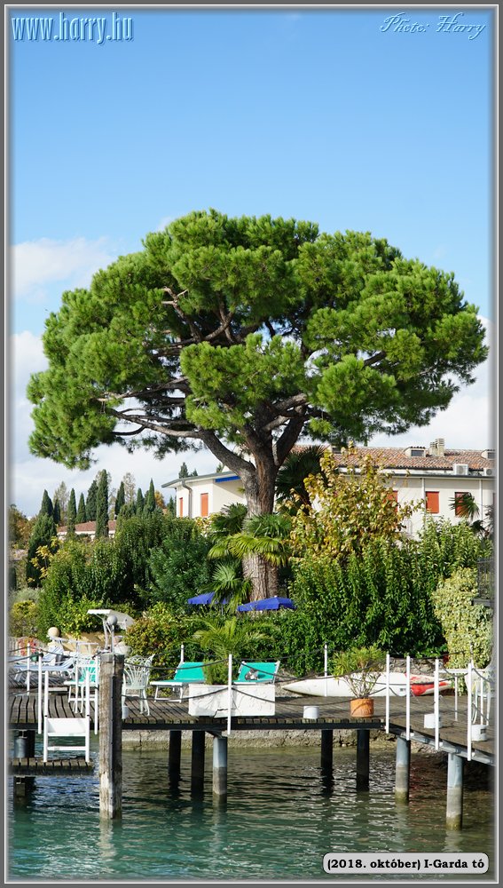 2018.oktober-I-Garda-to-175.jpg