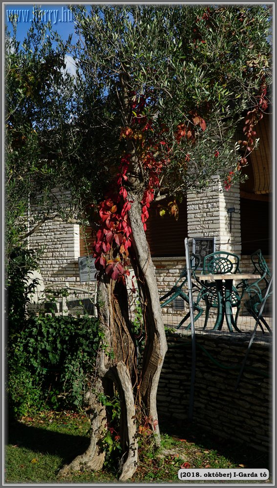 2018.oktober-I-Garda-to-189.jpg