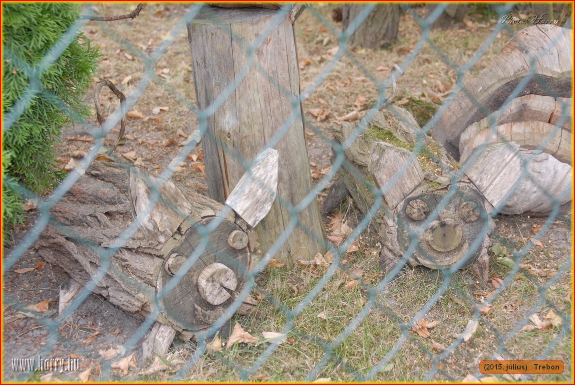 (2015.julius)Trebon-127.jpg