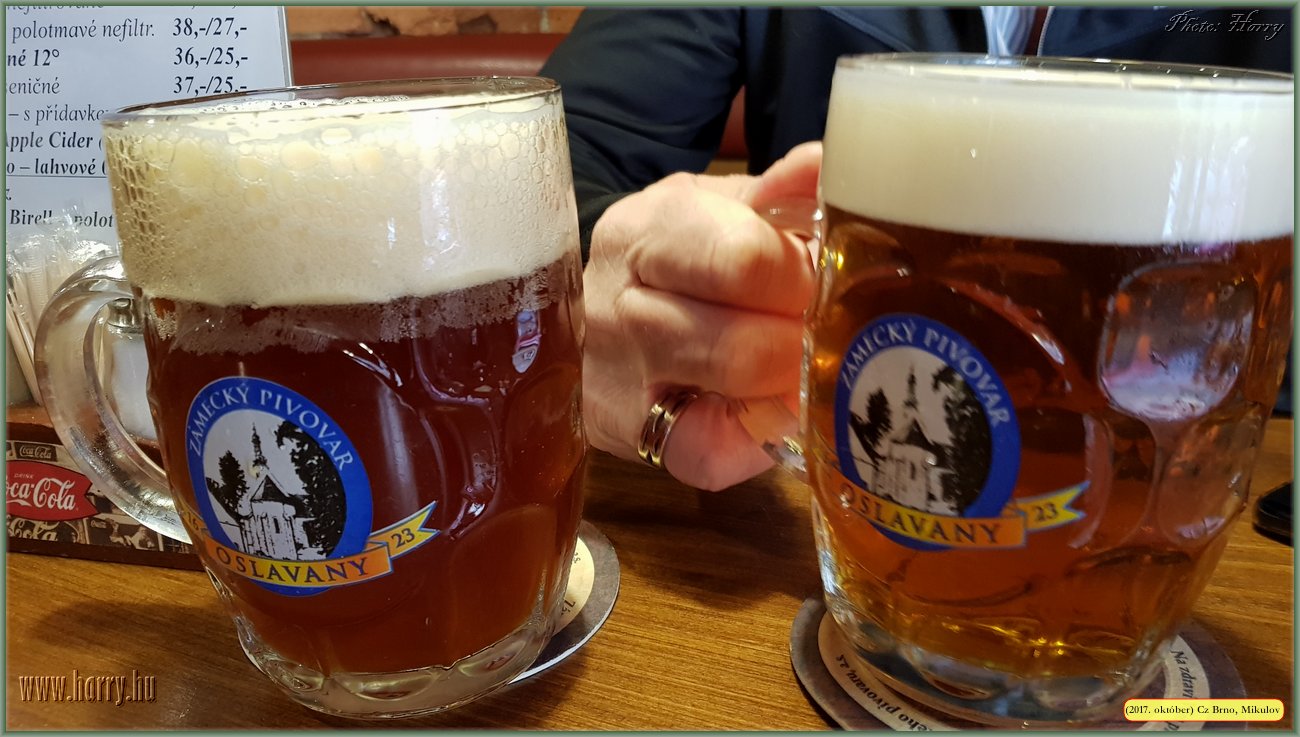 (2017.10.29-31.)Brno_Mikulov-012.jpg