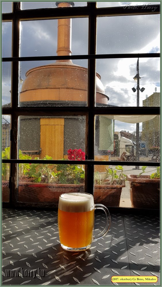 (2017.10.29-31.)Brno_Mikulov-023.jpg