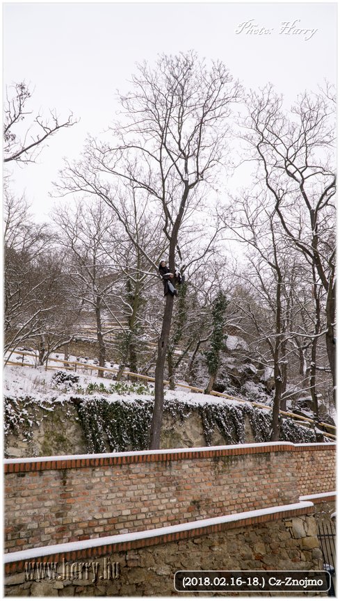 (2018.02.16-18.)Cz-Znojmo-130.jpg