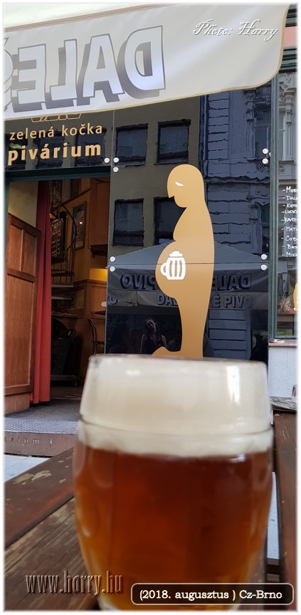 (2018.augusztus)Cz-Brno-039.jpg