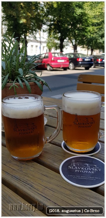 (2018.augusztus)Cz-Brno-090.jpg
