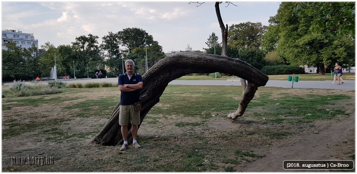 (2018.augusztus)Cz-Brno-111.jpg