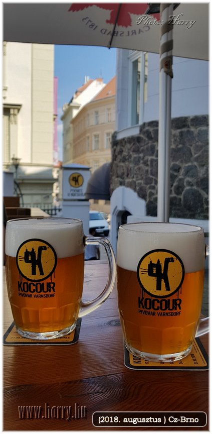 (2018.augusztus)Cz-Brno-123.jpg