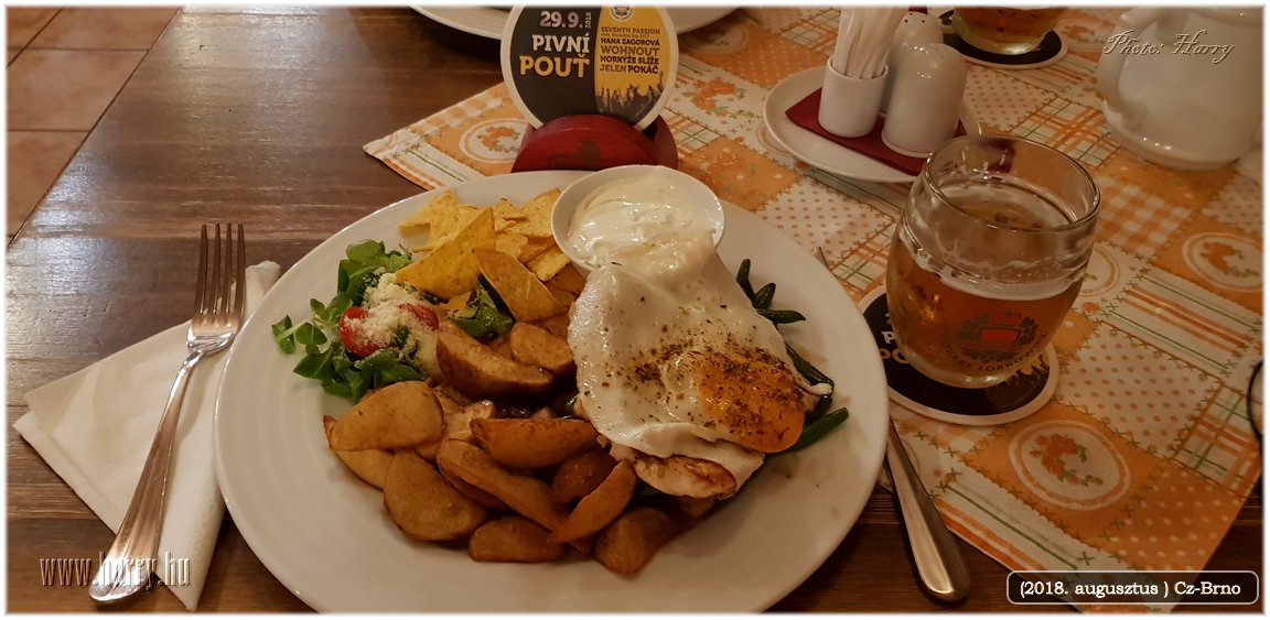 (2018.augusztus)Cz-Brno-143.jpg