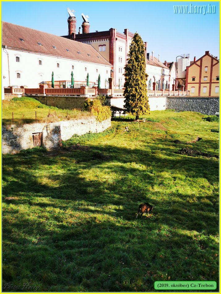 2019.oktober-Cz-Trebon-48.jpg