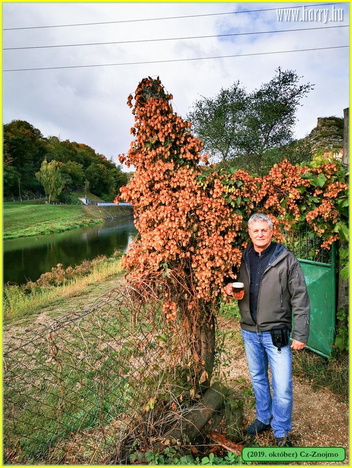 2019.oktober-Cz-Znojmo-032.jpg