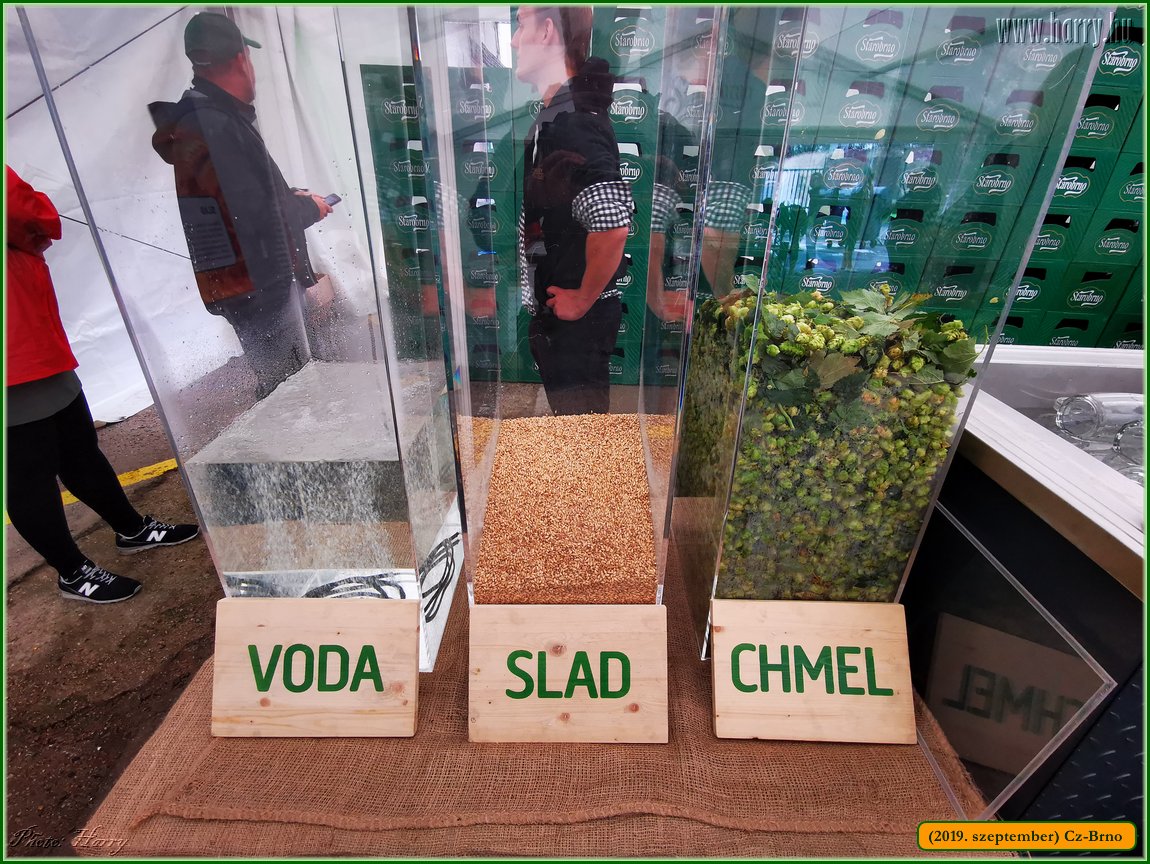 2019.szeptember-Cz-Brno-115.jpg