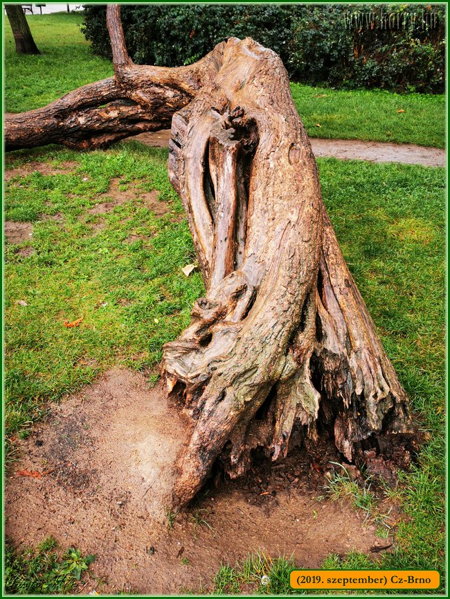 2019.szeptember-Cz-Brno-155.jpg