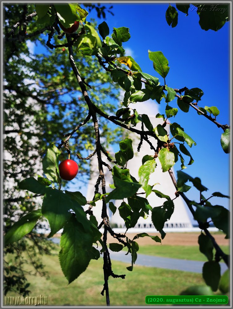 2020.augusztus-Cz-Znojmo-000-041.jpg
