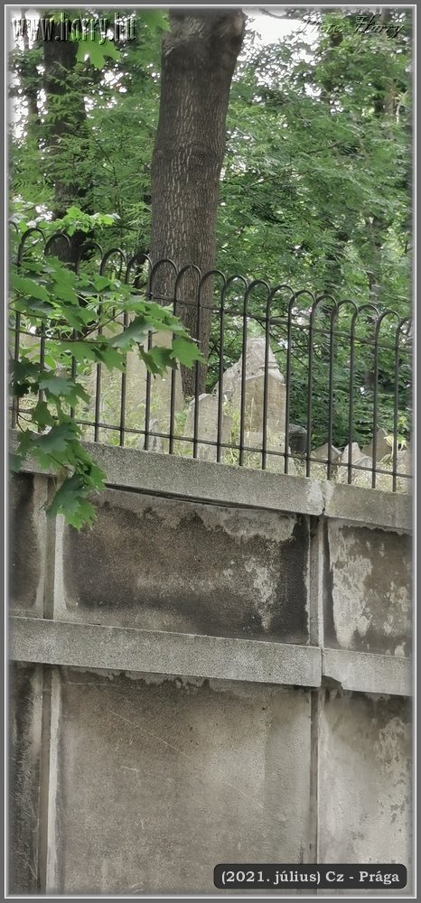 2021.julius-Cz-Praga-145.jpg