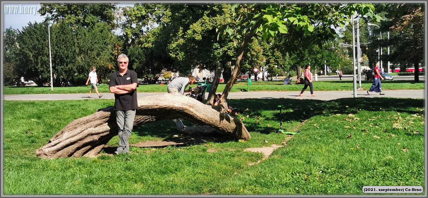 2021.augusztus-Cz-Brno-010.jpg