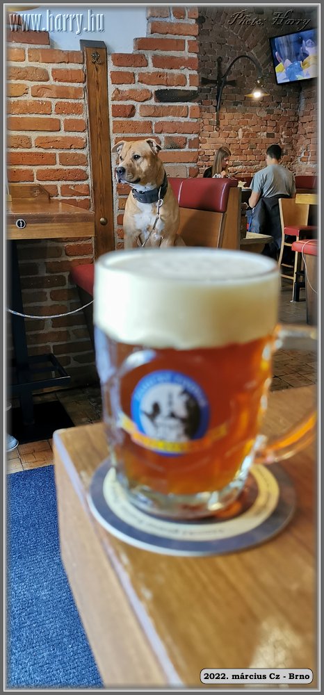 2022.03-Cz-Brno-031.jpg