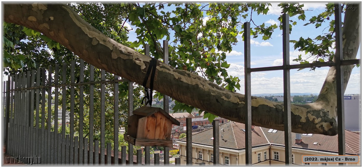 2022.05.-Cz-Brno-053.jpg