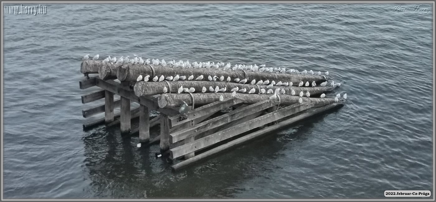 2022.februar-Cz-Praga-124.jpg