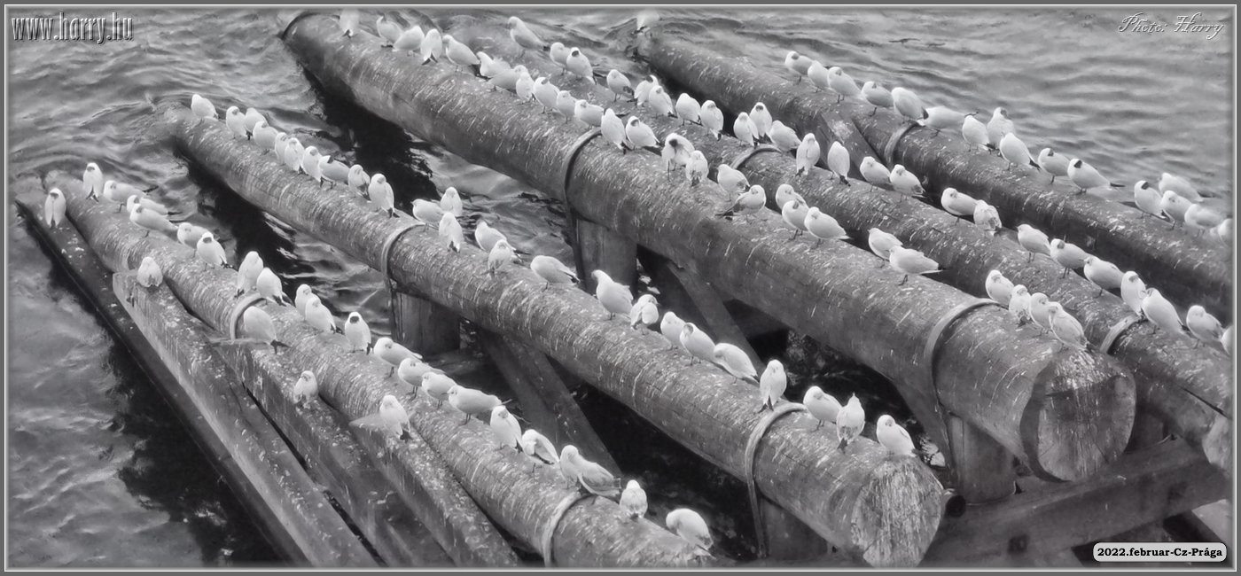 2022.februar-Cz-Praga-128.jpg