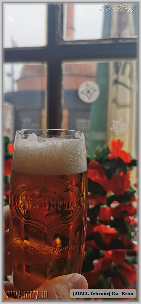 2023.02-Cz-Brno-019.jpg