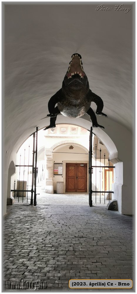 2023.04-Cz-Brno-076.jpg