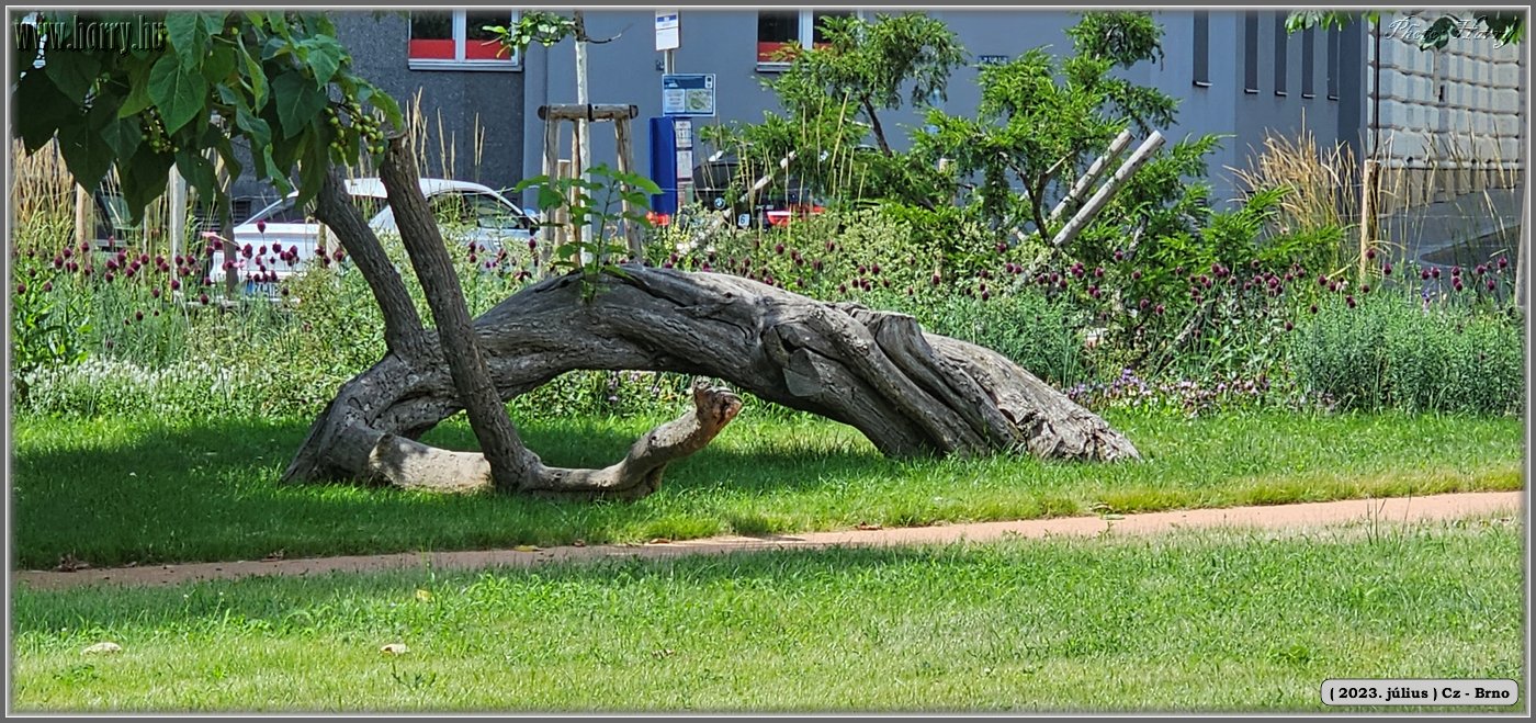 2023.07-Cz-Brno-084.jpg