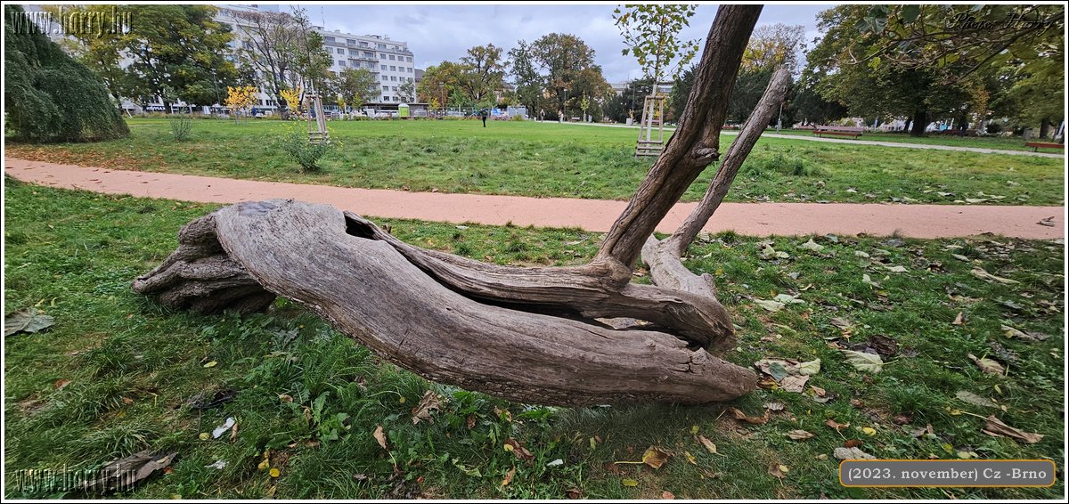 2023.11-Cz-Brno-18.jpg