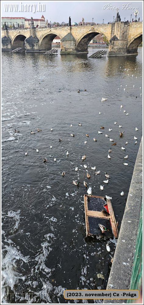 2023.11-Cz-Praga-308.jpg