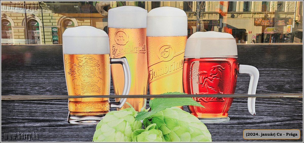 2024.01-Cz-Praga-356.jpg