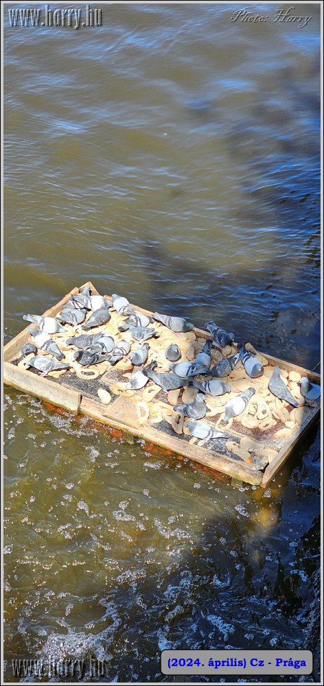 2024.04-Cz-Praga-205.jpg
