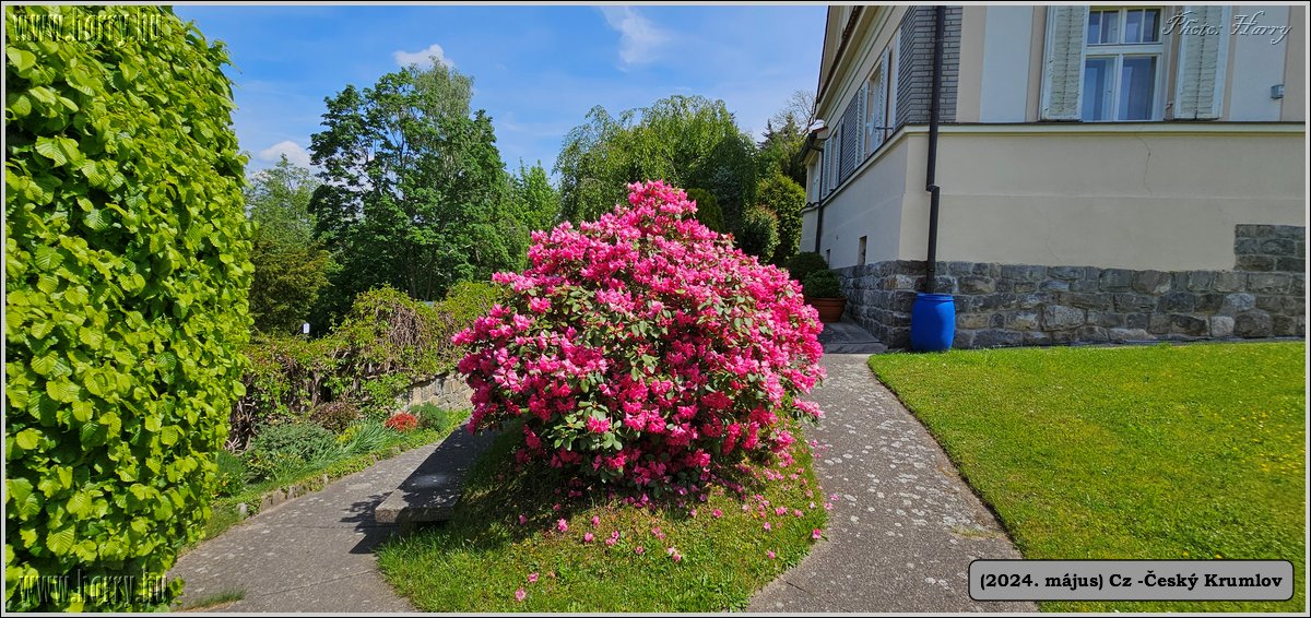 2024.05--Cz-Cesky_Krumlov-013.jpg