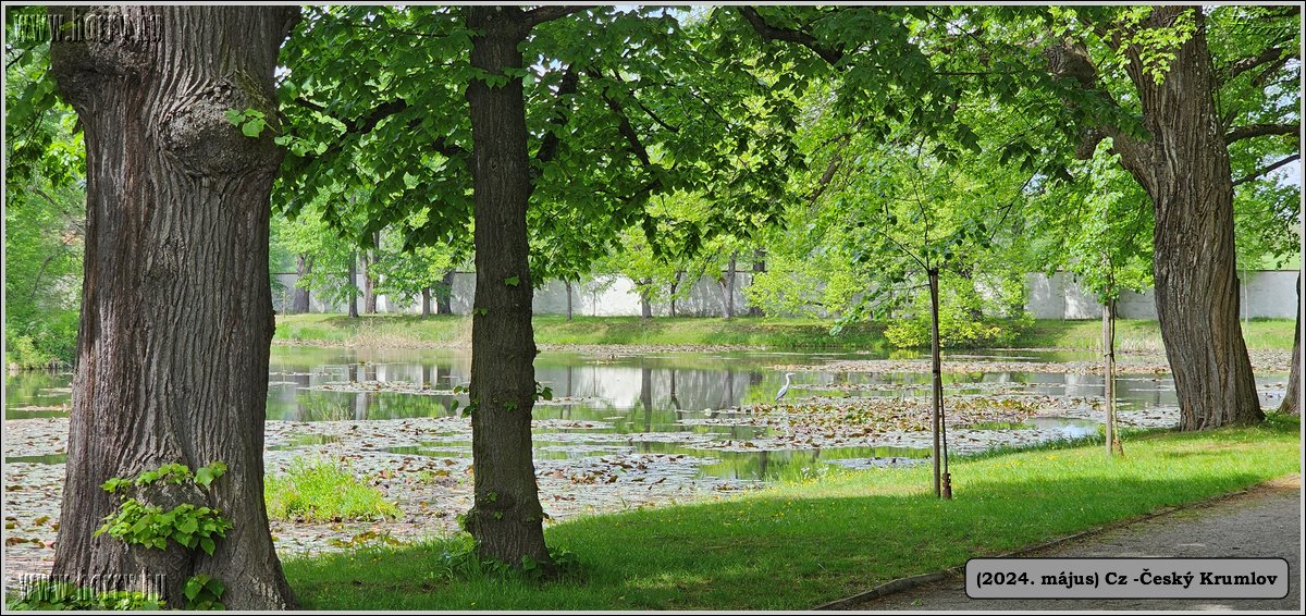2024.05--Cz-Cesky_Krumlov-183.jpg
