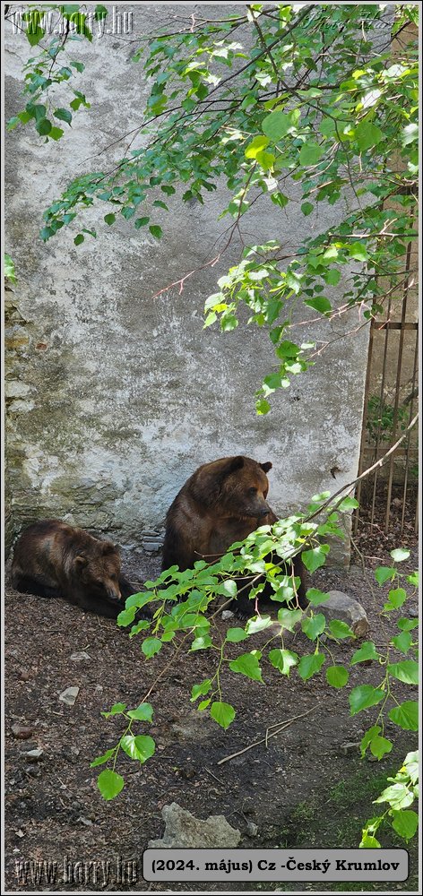 2024.05--Cz-Cesky_Krumlov-316.jpg