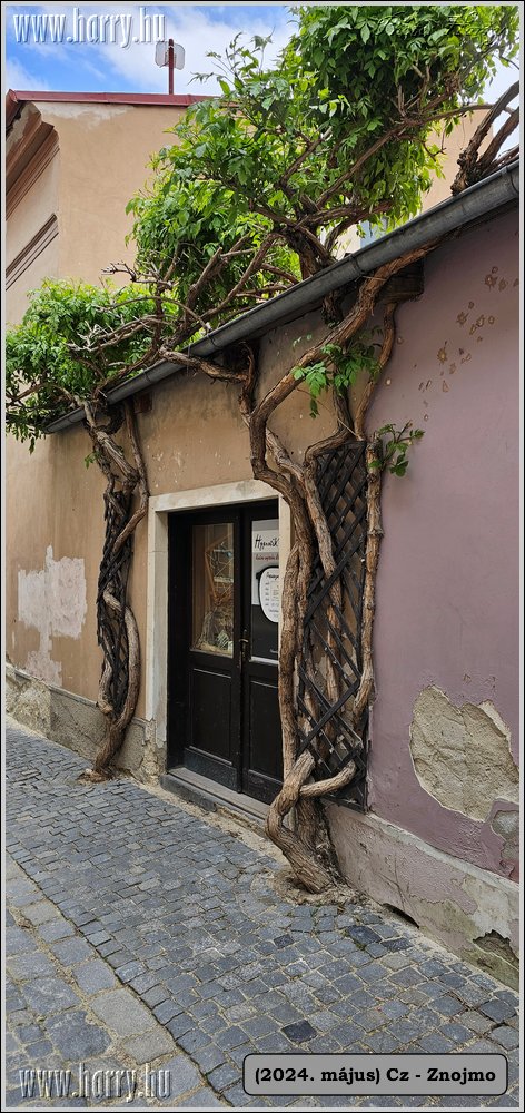 2024.05-Cz-Znojmo-023.jpg