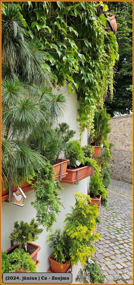 2024.06-Cz-Znojmo-027.jpg