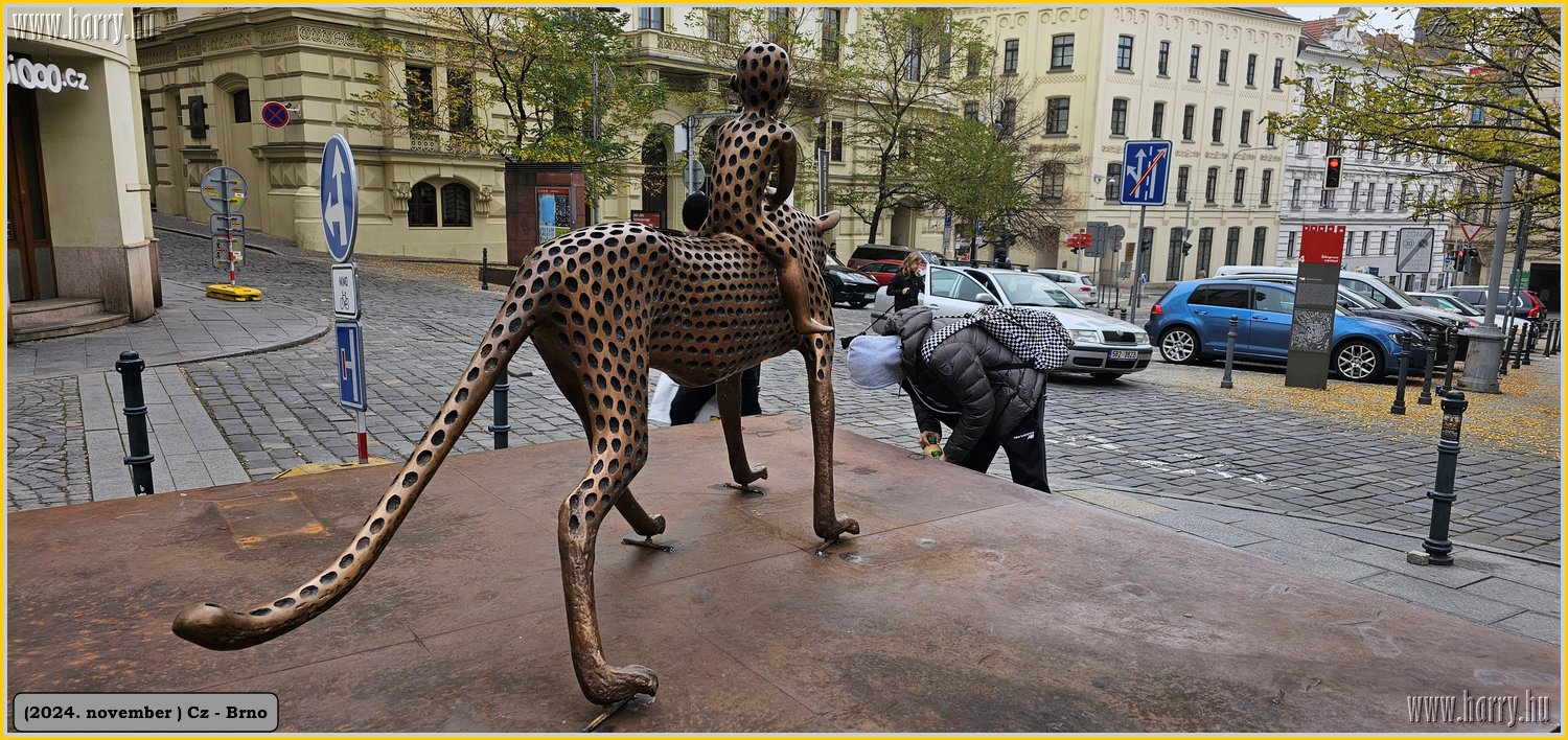 2024.11-Cz-Brno-090.jpg