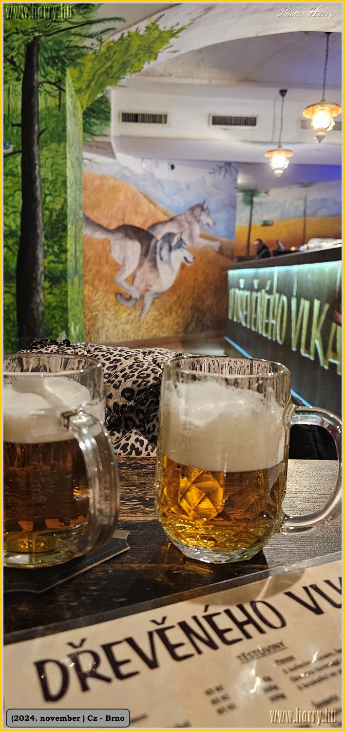 2024.11-Cz-Brno-098.jpg