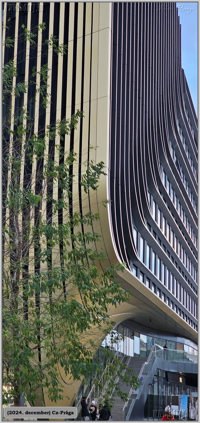 2024.12-Cz-Praga-128.jpg