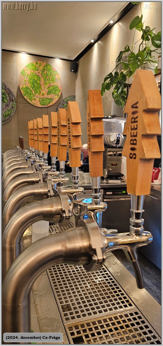 2024.12-Cz-Praga-155.jpg