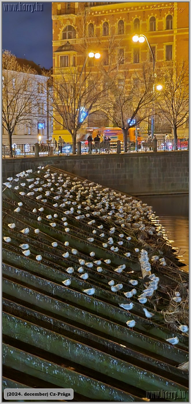 2024.12-Cz-Praga-190.jpg