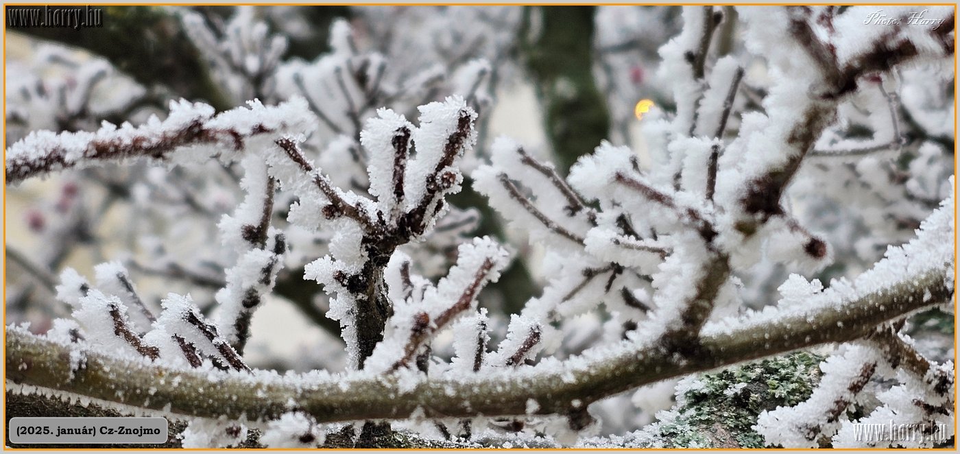 2025.01-Cz-Znojmo-006.jpg