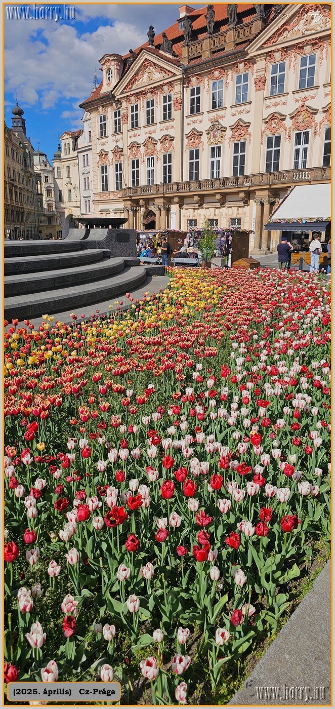 2025.04.-Cz-Praga-169.jpg