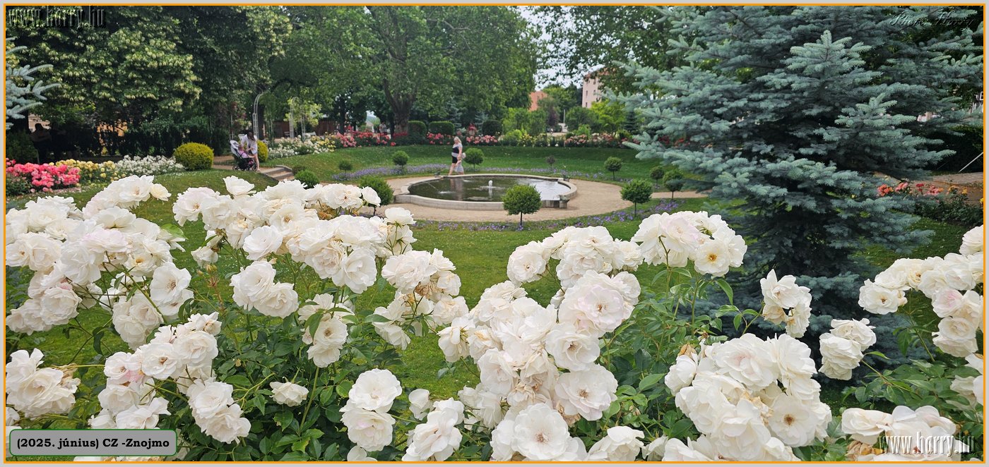 2025.06.-Cz-Znojmo-002.jpg
