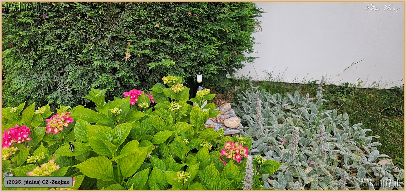 2025.06.-Cz-Znojmo-066.jpg