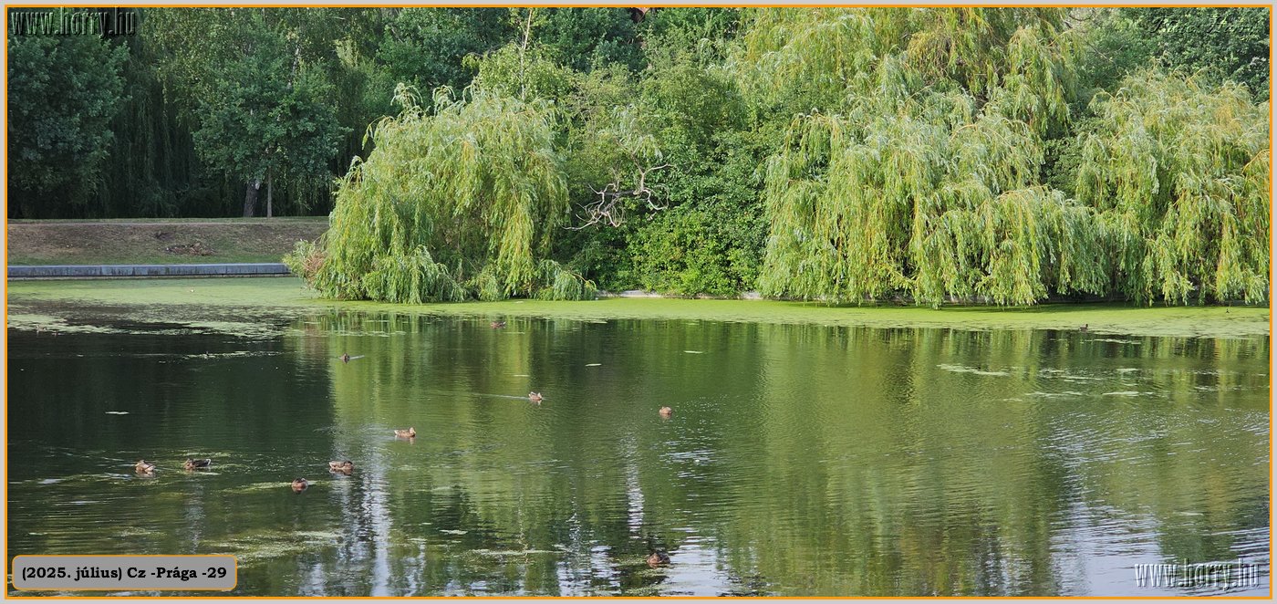 2025.07.-Cz-Praga-29-198.jpg