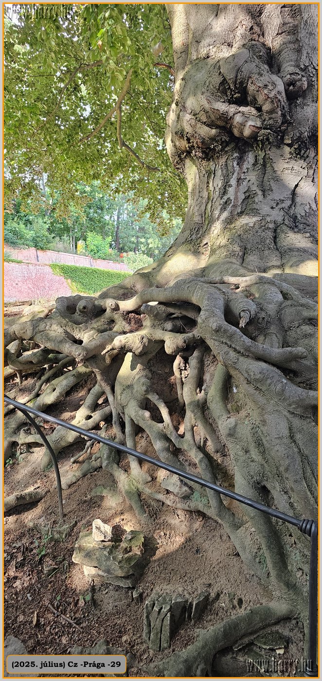 2025.07.-Cz-Praga-29-208.jpg